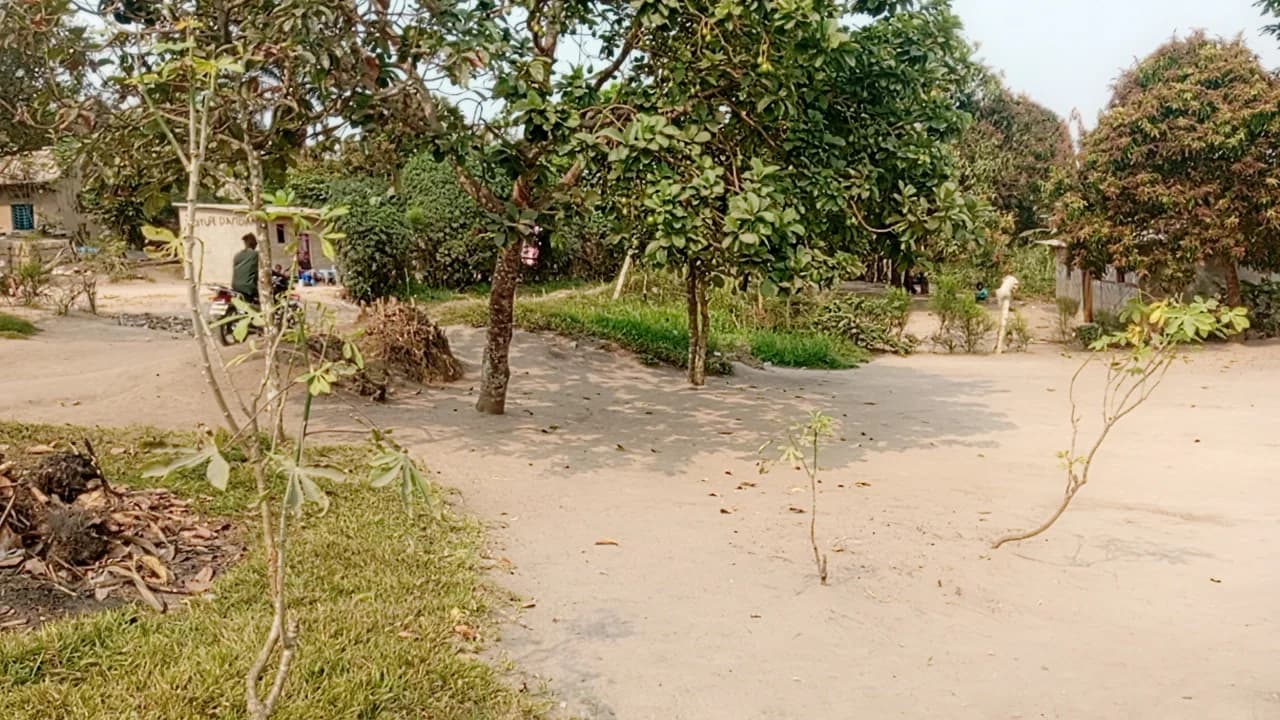 Bureau à louer - 25 m² - Avenue Katanga, Golf - Image 2