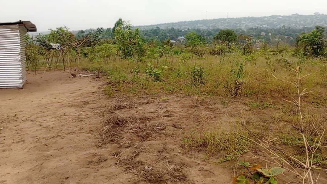 Parcelle à vendre - 400.00 m² - Mitendi, Kinshasa - Image 2