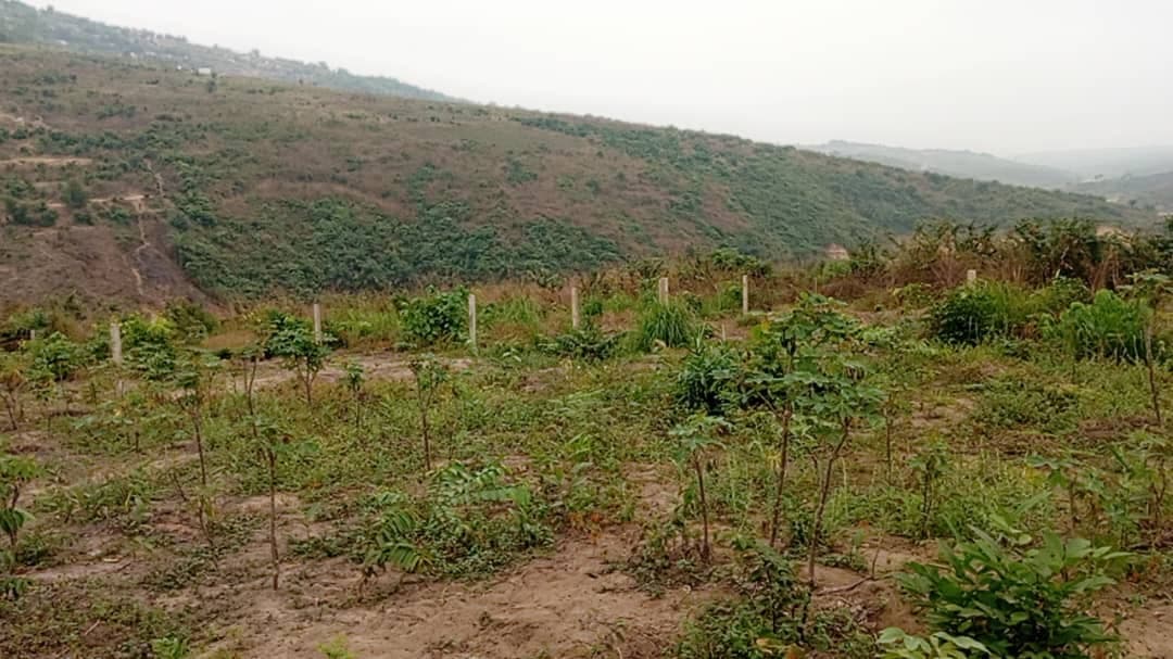 Parcelle à vendre - 400.00 m² - Mitendi, Kinshasa - Image 3