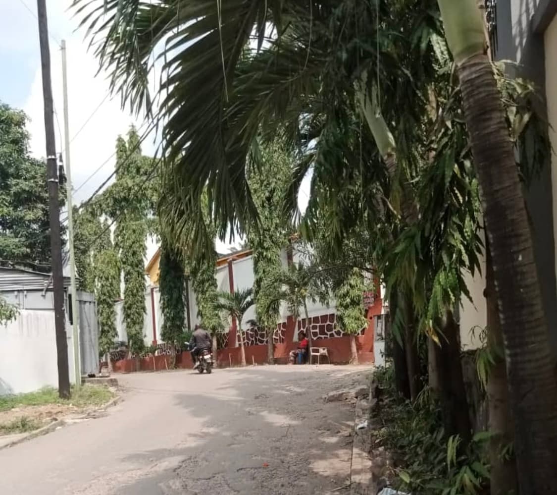 Parcelle à vendre - 240.00 m² - Avenue Luzizila, Musey