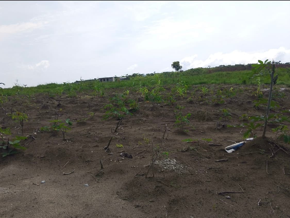 Terrain à vendre - 400.00 m² - Avenue Mango, Kimbanseke - Image 2