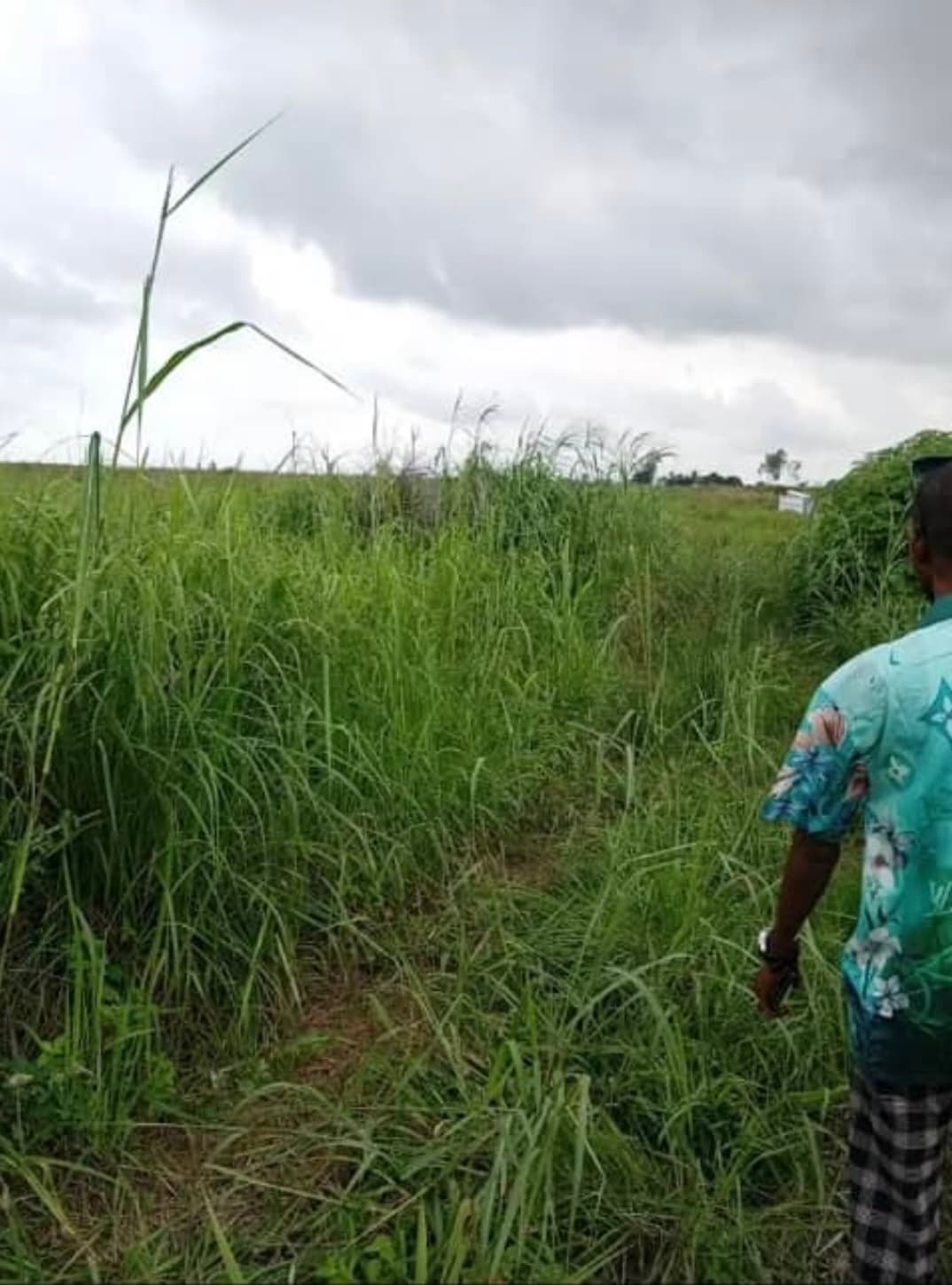 Terrain à louer - 4200.00 m² - RN1, Maluku - Image 3