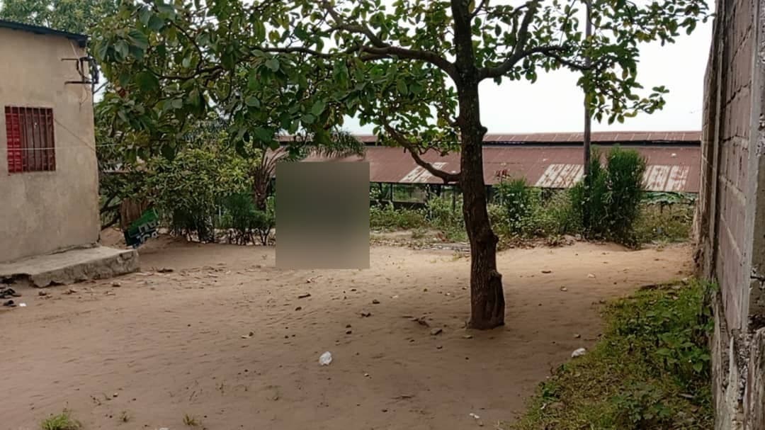 Villa à louer - 250 m² - Place Royal, Batetela - Image 2