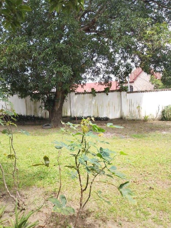 Terrain résidentiel à vendre à Ngaliema Binza UPN - Image 2