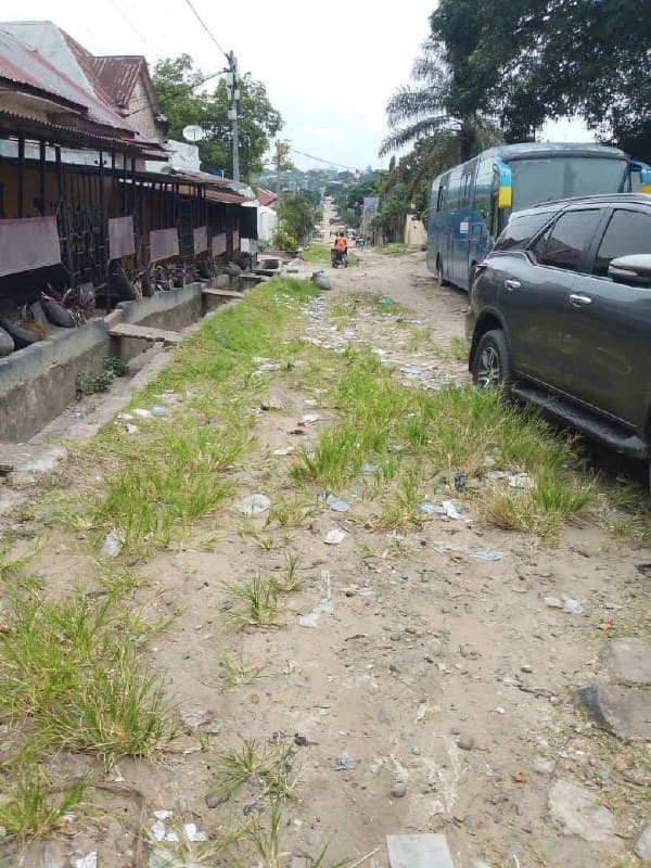 Terrain résidentiel à vendre à Ngaliema Binza UPN - Image 3