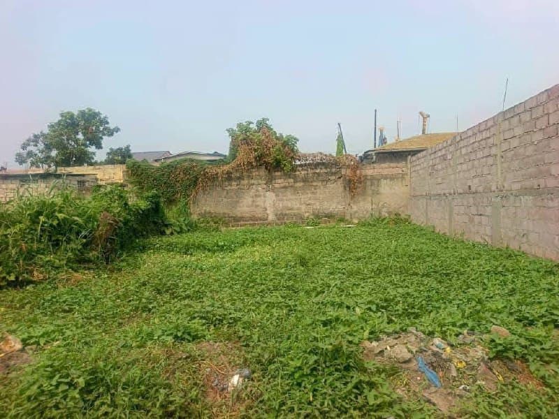 Terrain résidentiel à vendre à Limete, Boulevard Lumumba - Image 3