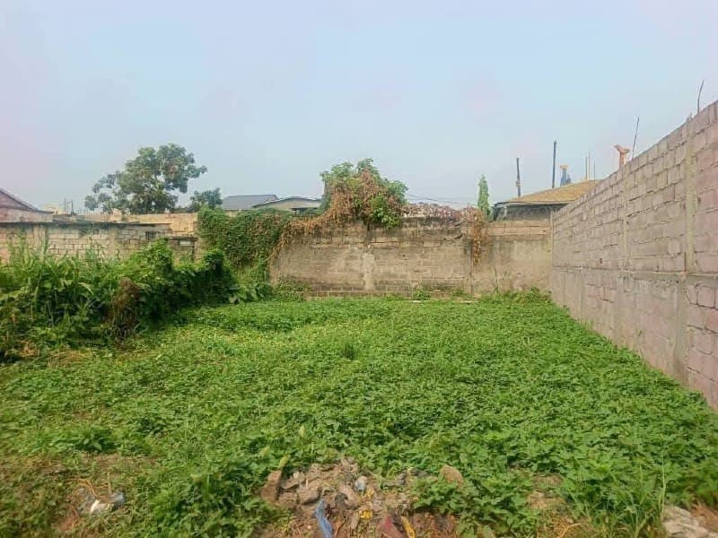 Terrain résidentiel à vendre à Limete, Boulevard Lumumba - Image 2