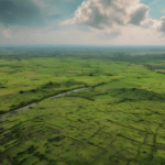 Acheter un Terrain en RDC : Guide Complet 2025